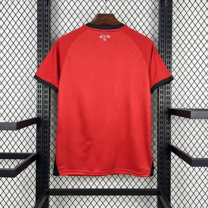 Jordan 2026 WC Away Shirt